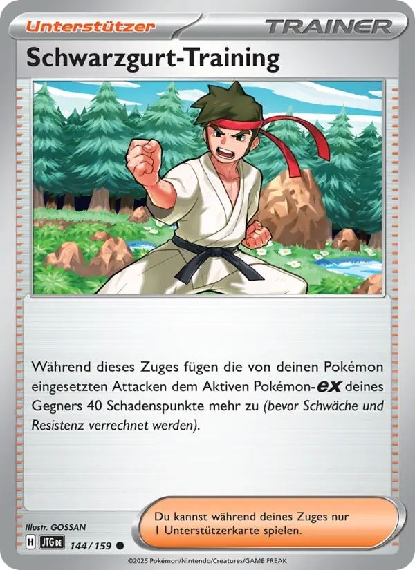 Schwarzgurt-Training