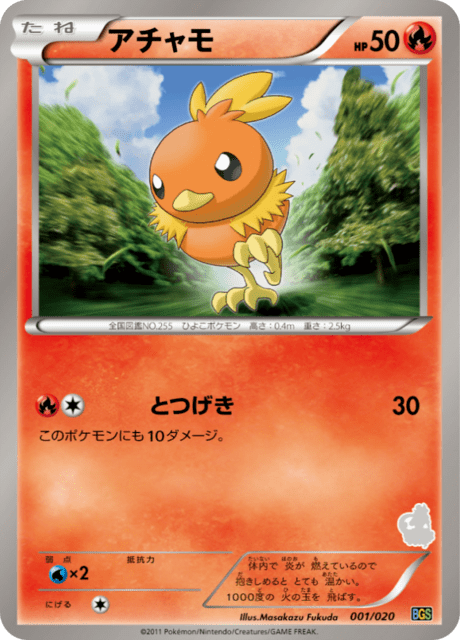 Torchic
