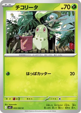 Chikorita