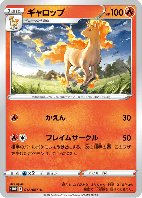 Rapidash
