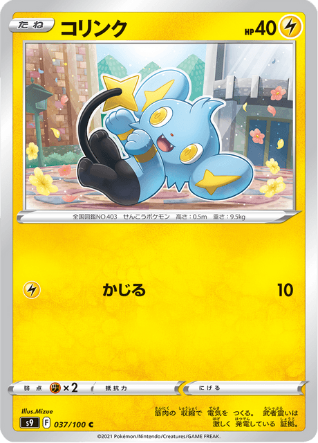 Shinx