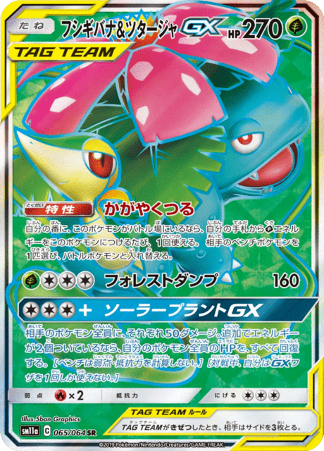 Venusaur & Snivy GX