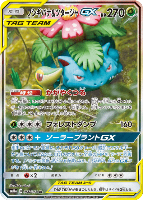 Venusaur & Snivy GX