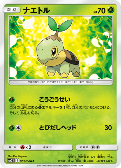 Turtwig