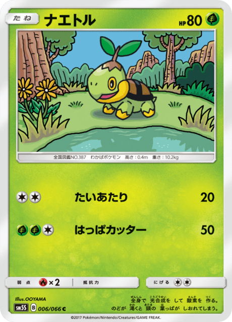 Turtwig