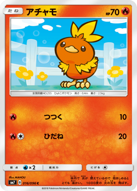 Torchic