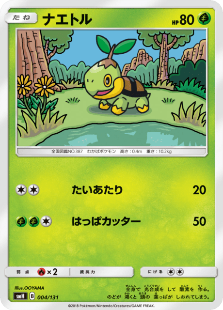 Turtwig