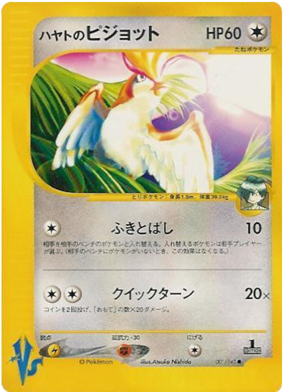 Falkner's Pidgeot
