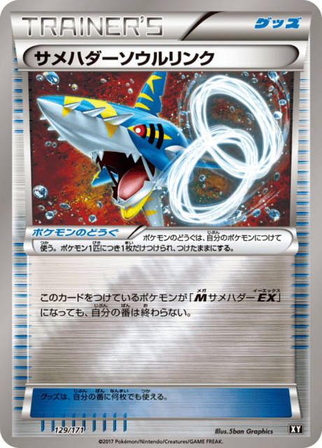 Sharpedo Spirit Link