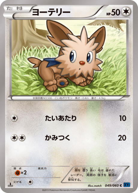 Lillipup