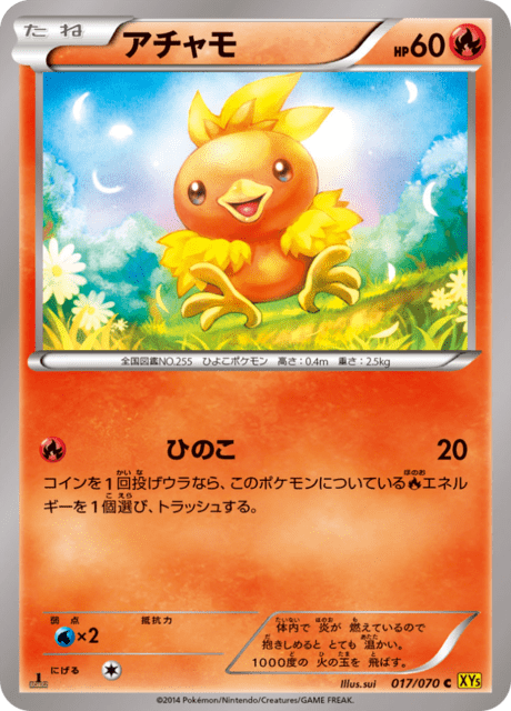 Torchic