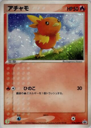 Torchic