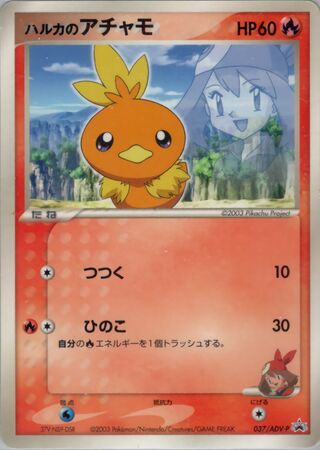 May's Torchic