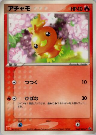 Torchic
