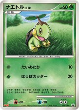 Turtwig