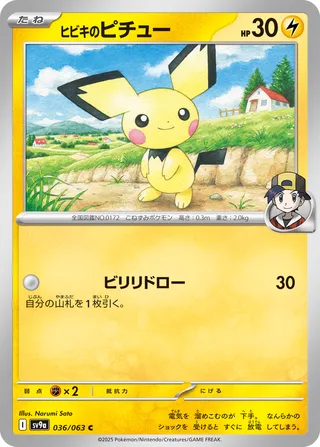 Ethan's Pichu